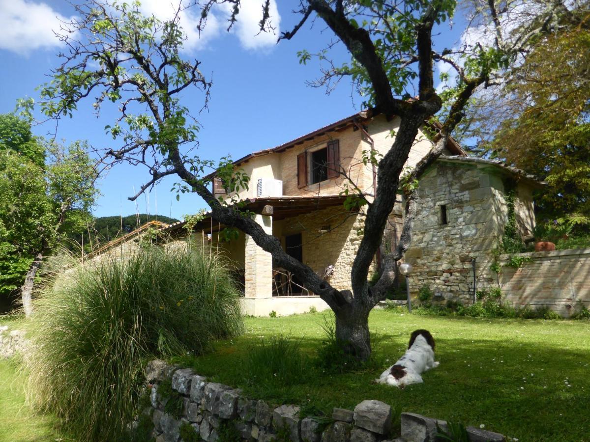 Country House La Casa Paterna Monte Santa Maria Tiberina Экстерьер фото